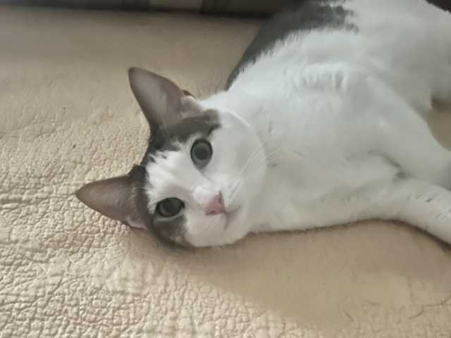 Eddie_2