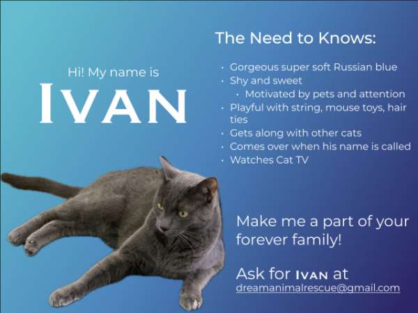 Ivan_profile