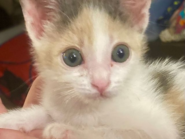 JunieBug1