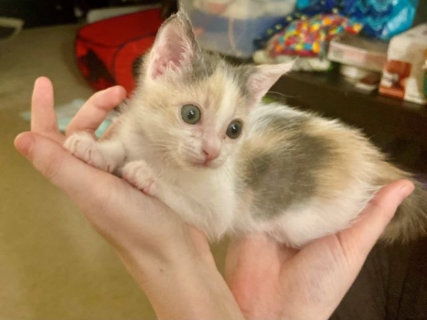 JunieBug2