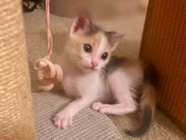 JunieBug3