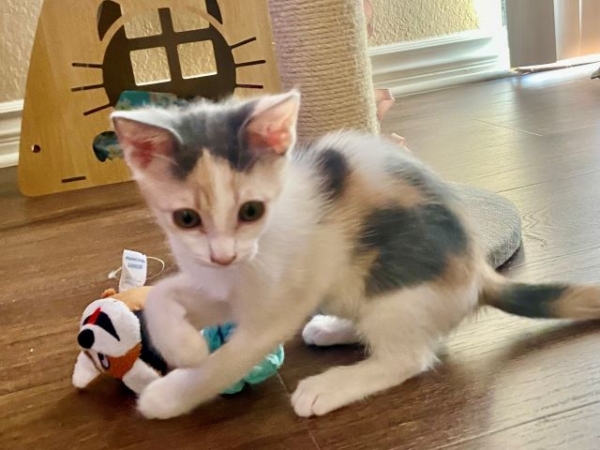 JunieBug5