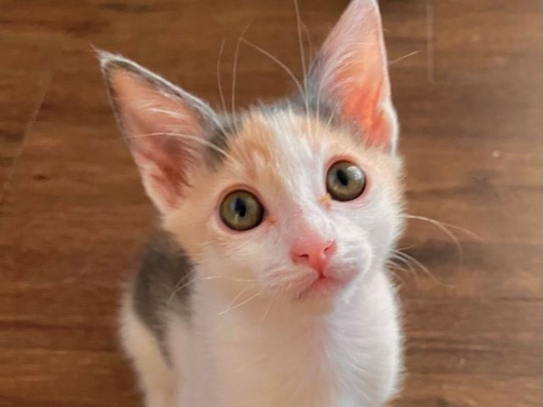 JunieBug6