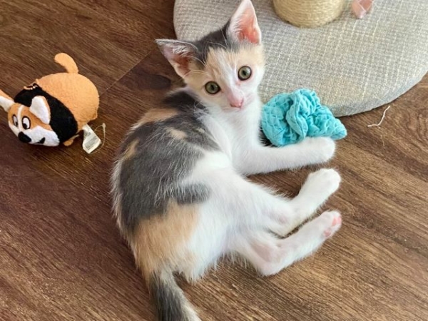 JunieBug7