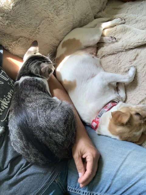 Temp13