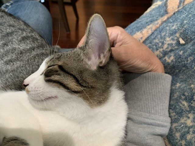Temp16