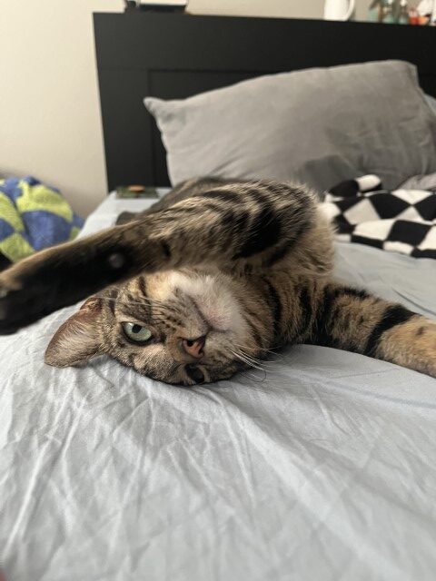 Whiskee10