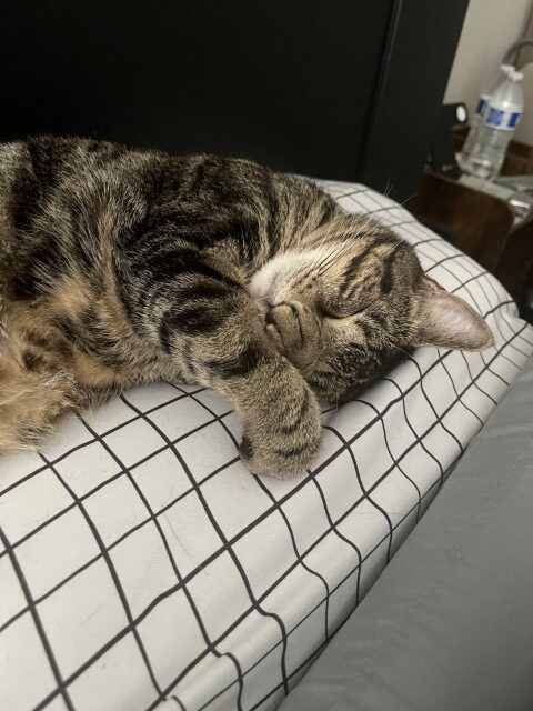 Whiskee7