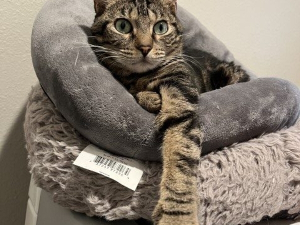 Whiskee9