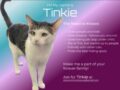 Tinkie